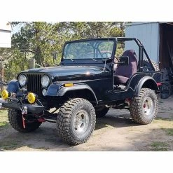 Best deal 😍 Eastwood Black Ice Gold Pearl 3:1 Single Stage Automotive Car Paint 🥰 -Eastwood shop p16111zp black ice gold pearl jeep 1 1